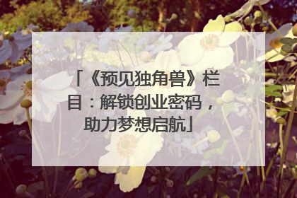 《预见独角兽》栏目：解锁创业密码，助力梦想启航