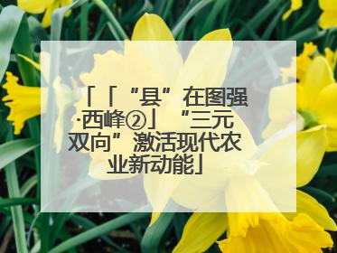 「“县”在图强·西峰②」“三元双向”激活现代农业新动能