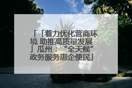 「着力优化营商环境 助推高质量发展」瓜州：“全天候”政务服务惠企便民