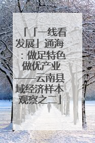 「一线看发展」通海：做足特色 做优产业——云南县域经济样本观察之二