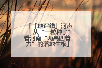 「地评线」河声丨从“一粒种子”看河南“两高四着力”的落地生根