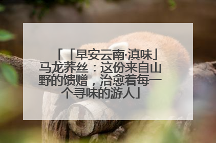 「早安云南·滇味」马龙荞丝：这份来自山野的馈赠，治愈着每一个寻味的游人