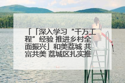 「深入学习“千万工程”经验 推进乡村全面振兴」和美荔城 共富共美 荔城区扎实推进乡村振兴工作