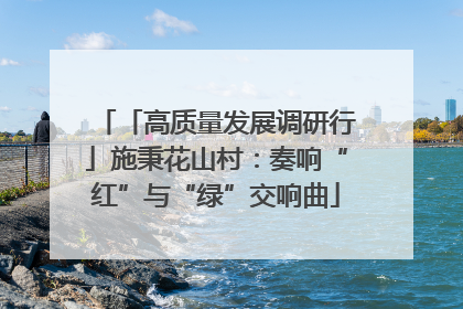 「高质量发展调研行」施秉花山村：奏响“红”与“绿”交响曲