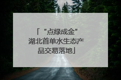 “点绿成金” 湖北首单水生态产品交易落地