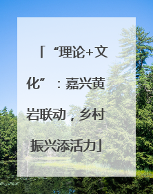 “理论+文化”：嘉兴黄岩联动，乡村振兴添活力