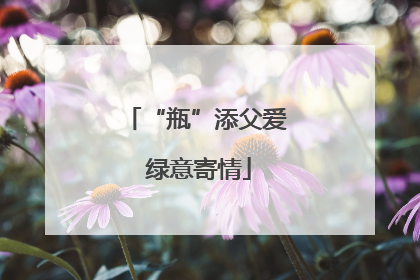 “瓶”添父爱 绿意寄情