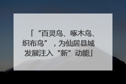 “百灵鸟、啄木鸟、织布鸟”，为仙居县域发展注入“新”动能
