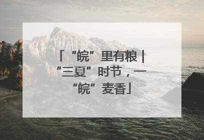 “皖”里有粮｜“三夏”时节，一“皖”麦香