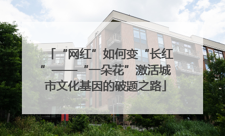 “网红”如何变“长红”——“一朵花”激活城市文化基因的破题之路