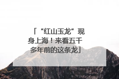“红山玉龙”现身上海！来看五千多年前的这条龙
