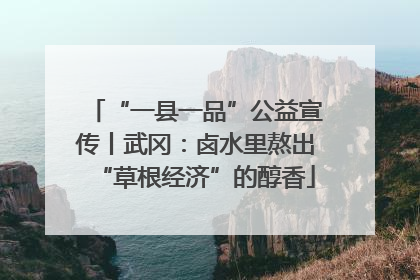 “一县一品”公益宣传丨武冈：卤水里熬出“草根经济”的醇香