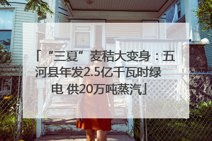 “三夏”麦秸大变身：五河县年发2.5亿千瓦时绿电 供20万吨蒸汽