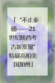 “不止秦俑——21世纪陕西考古新发现”特展亮相美国加州