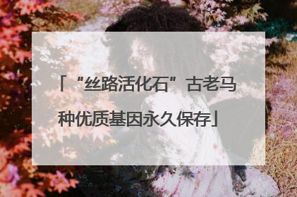 “丝路活化石”古老马种优质基因永久保存