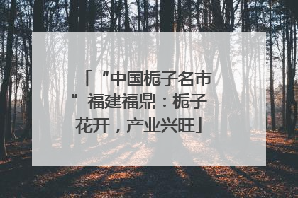 “中国栀子名市”福建福鼎：栀子花开，产业兴旺