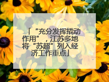 “充分发挥撬动作用”，江苏多地将“苏超”列入经济工作重点