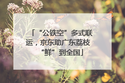 “公铁空”多式联运，京东助广东荔枝“鲜”到全国
