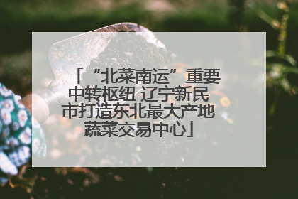 “北菜南运”重要中转枢纽 辽宁新民市打造东北最大产地蔬菜交易中心