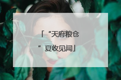 “天府粮仓”夏收见闻