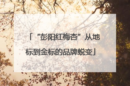 “彭阳红梅杏”从地标到金标的品牌蜕变