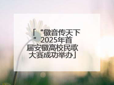 “徽音传天下”2025年首届安徽高校民歌大赛成功举办