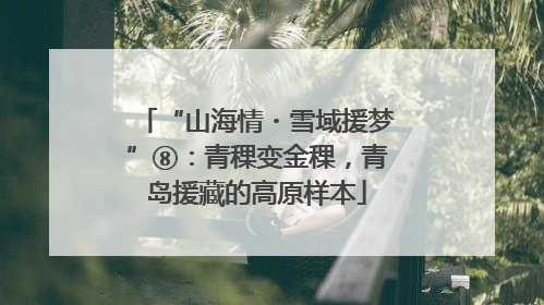 “山海情・雪域援梦”⑧：青稞变金稞，青岛援藏的高原样本
