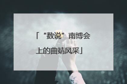 “数说”南博会上的曲靖风采