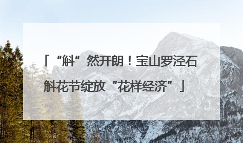 “斛”然开朗！宝山罗泾石斛花节绽放“花样经济”