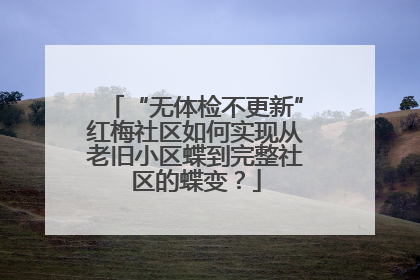 “无体检不更新”红梅社区如何实现从老旧小区蝶到完整社区的蝶变？