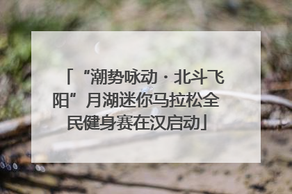 “潮势咏动・北斗飞阳”月湖迷你马拉松全民健身赛在汉启动