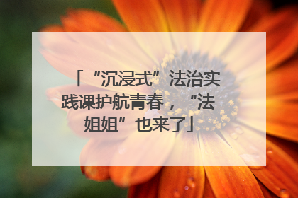 “沉浸式”法治实践课护航青春，“法姐姐”也来了