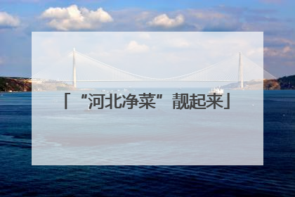 “河北净菜”靓起来