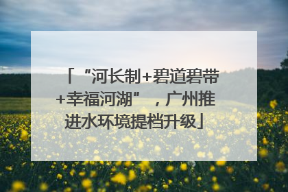 “河长制+碧道碧带+幸福河湖”，广州推进水环境提档升级