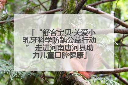 “舒客宝贝·关爱小乳牙科学防龋公益行动” 走进河南唐河县助力儿童口腔健康