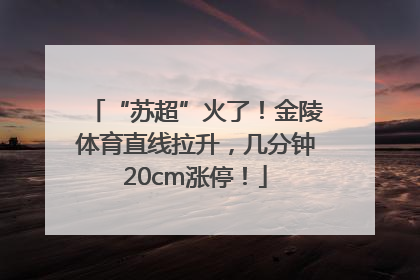 “苏超”火了！金陵体育直线拉升，几分钟20cm涨停！