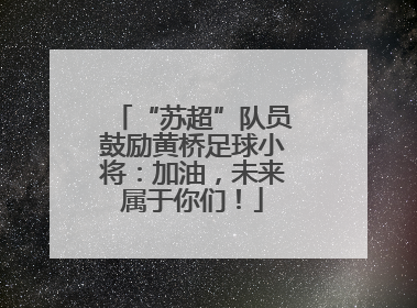 “苏超”队员鼓励黄桥足球小将：加油，未来属于你们！