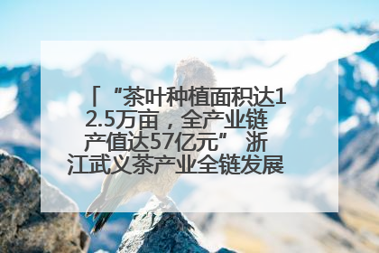 “茶叶种植面积达12.5万亩，全产业链产值达57亿元” 浙江武义茶产业全链发展“加速度”