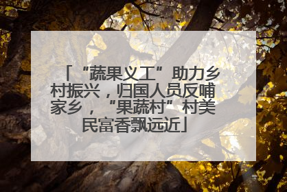 “蔬果义工”助力乡村振兴，归国人员反哺家乡，“果蔬村”村美民富香飘远近