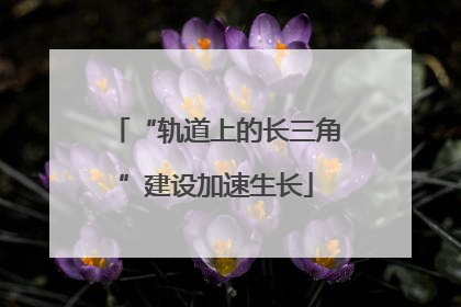 “轨道上的长三角”建设加速生长