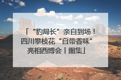 “豹局长”亲自到场！四川攀枝花“自带香味”亮相西博会丨图集