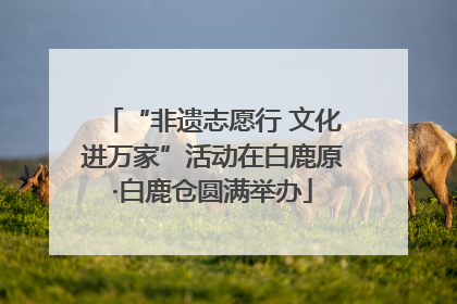 “非遗志愿行 文化进万家”活动在白鹿原·白鹿仓圆满举办