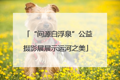 “问源白浮泉”公益摄影展展示运河之美