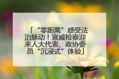 “零距离”感受法治脉动！宣威检察迎来人大代表、政协委员“沉浸式”体验
