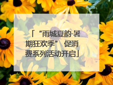 “雨城夏韵·暑期狂欢季” 促消费系列活动开启