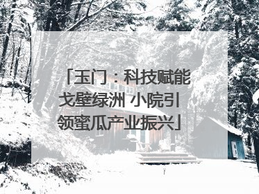 玉门：科技赋能戈壁绿洲 小院引领蜜瓜产业振兴