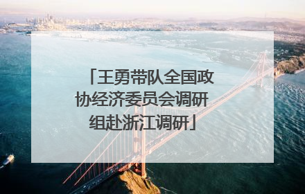 王勇带队全国政协经济委员会调研组赴浙江调研