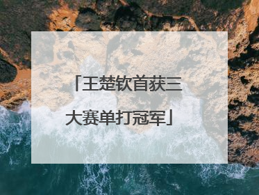 王楚钦首获三大赛单打冠军