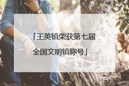 王英镇荣获第七届全国文明镇称号