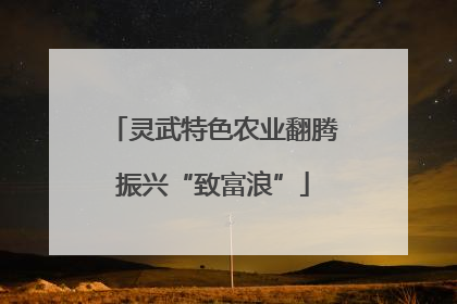 灵武特色农业翻腾振兴“致富浪”